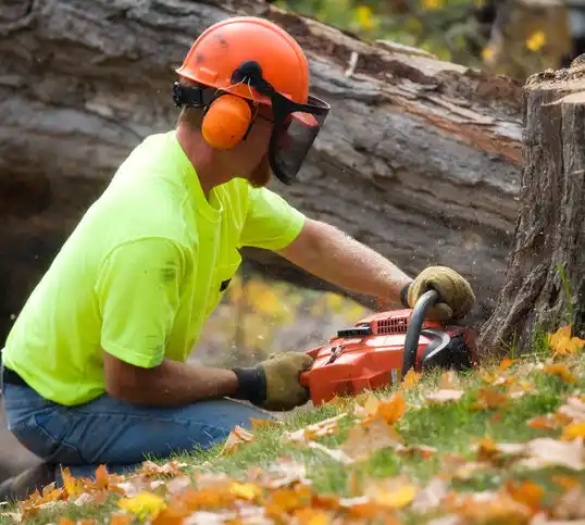 tree services Albertson